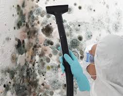 Trusted Point Marion, PA Mold Remediation Experts